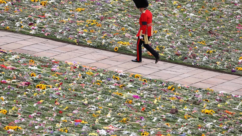 Fotografija: O mračni strani zgodovine imperija Britanci v šoli izvedo malo, če sploh. FOTO: Adrian Dennis/Afp