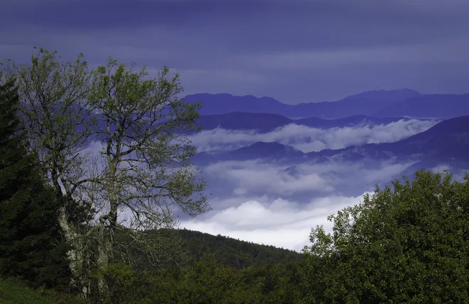 Kum nad Trbovljami: na jesen se zelenilo prebarva v rumene, rdeče in zlate odtenke. FOTO: Jože Suhadolnik/Delo
