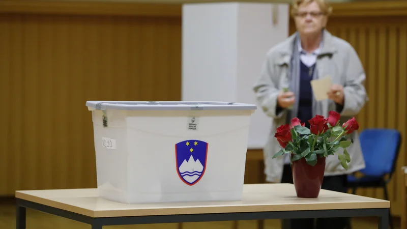Fotografija: Prvi krog predsedniških volitev bo 23. oktobra, zelo verjetni drugi pa 13. novembra. FOTO: Leon Vidic