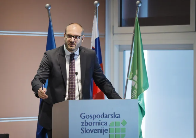 Dr. Slobodan Šešum. FOTO: Jože Suhadolnik/Delo