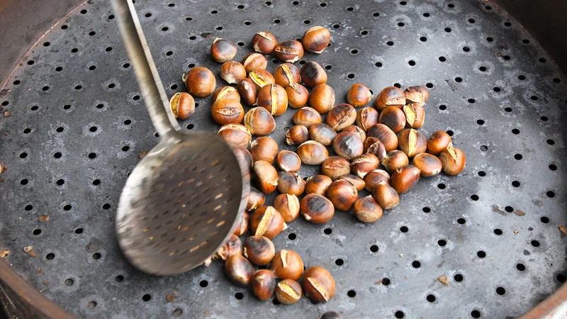 Fotografija: Preden kostanj spečemo, moramo lupino na vrhu zarezati. To naredimo zato, da pri segrevanju v pečici ne poči zaradi pritiska. FOTO: Marko Feist/Slovenske novice