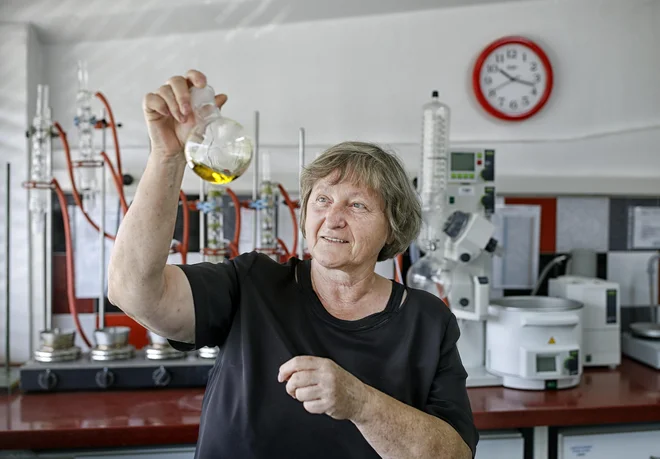 Milena Bučar Miklavčič - analiza oljčnega olja. Laboratorij Inštituta za oljkarstvo Foto Blaz Samec
