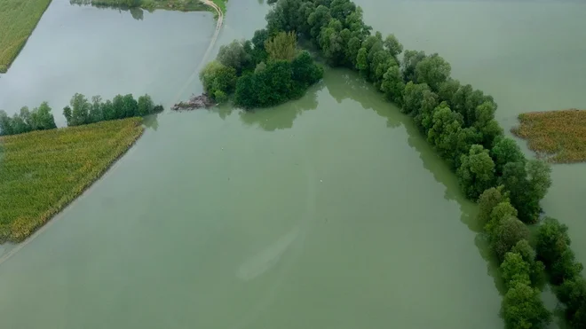 Narasle vode so ogrožale ljudi in objekte. FOTO: Uprava za zaščito in reševanje
