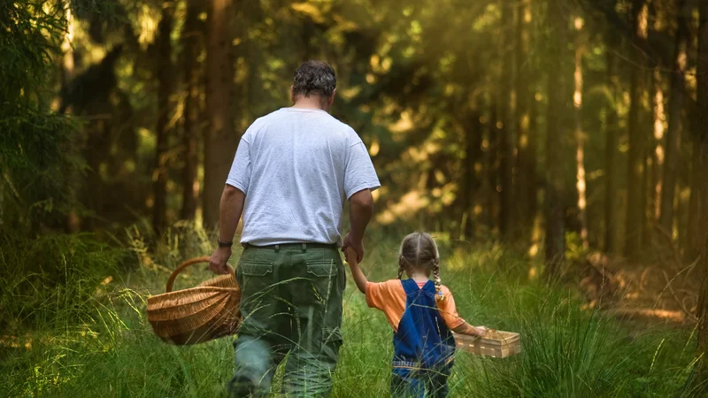 Fotografija: Jesen je čas, ki prinese številne zaposlitve. FOTO: Arhiv Polet/Shutterstock