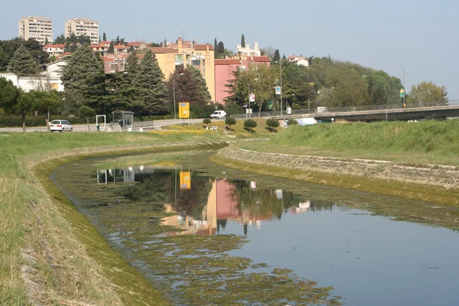 Vodno okolje Badaševice je že desetletja močno izpostavljeno pritiskom urbanizacije, proizvodnje, kmetijstva in drugih dejavnikov. Fotodokumentacija Dela
