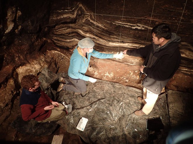 Tako so nabirali vzorce v jami Denisova, v kateri so odkrili koščico denisovancev. FOTO: AFP
