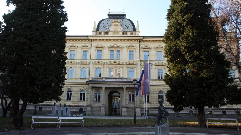 Vrednost projekta RIUM je skoraj 29 milijonov evrov. FOTO: Tadej Regent
