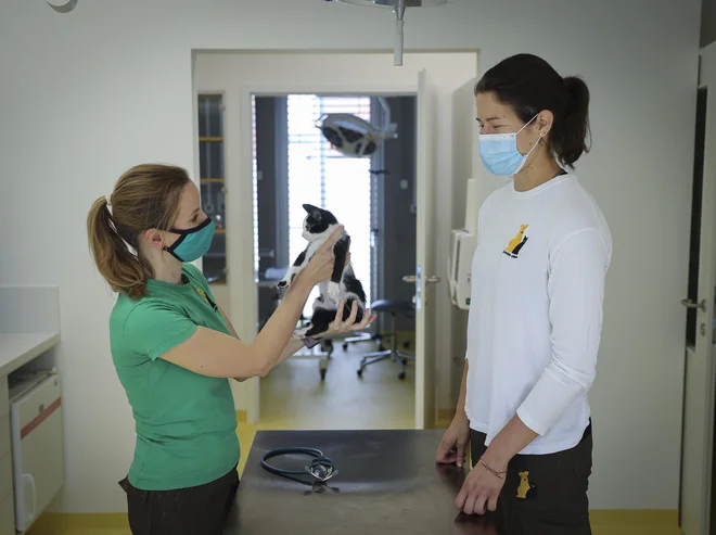 V zavetišču je zaposlenih deset veterinarjev in skrbnikov, hkrati za živali skrbi 20 prostovoljcev. Foto Jože Suhadolnik
