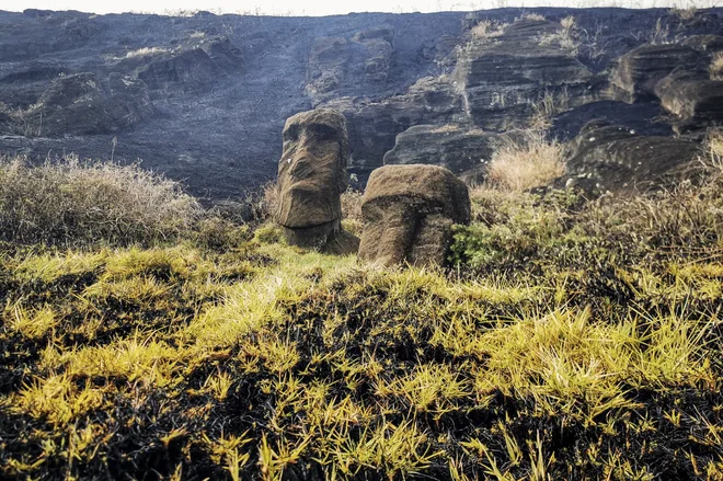 Slovite kamnite skulpture so bile poškodovane v požaru. FOTO: AFP
