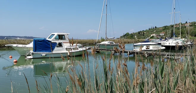 Jernejev kanal se bo spremenil v prestižno privezovališče za manjša plovila. FOTO: Boris Šuligoj
