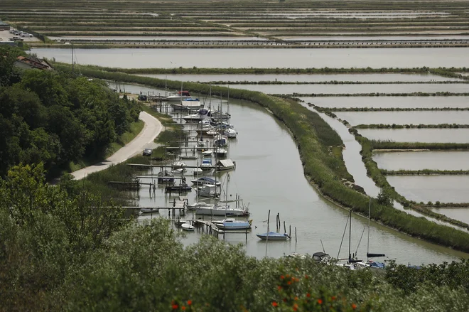 Jernejev kanal se bo spremenil v prestižno privezovališče za manjša plovila. FOTO: Leon Vidic
