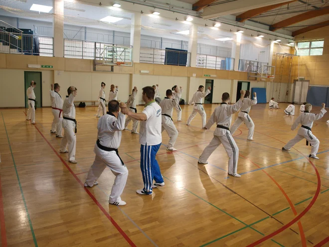 Usposabljanje za strokovne delavce v športni panogi taekwondo. FOTO: OKS
