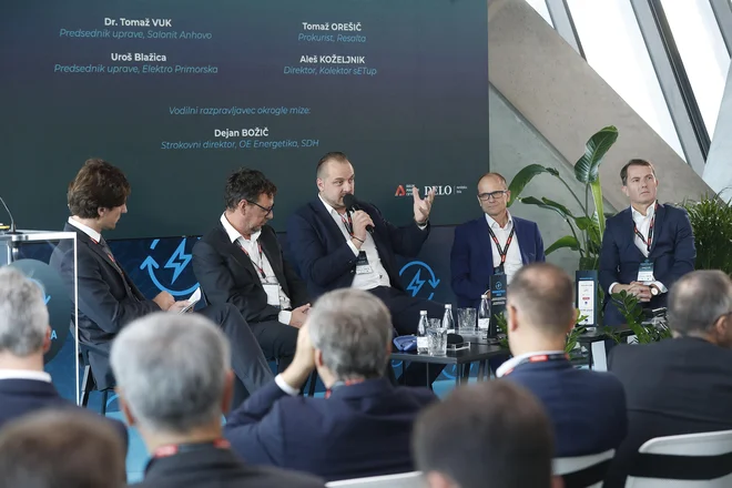 Energetski trgi se soočajo s kratkoročnimi intervencijami, v pripravi pa so tudi strukturne reforme, so ugotavljali na drugem panelu. FOTO: Leon Vidic/Delo

