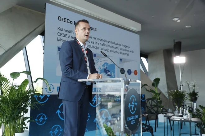 Damir Pelak, generalni direktor GrECo International. FOTO: Leon Vidic/Delo
