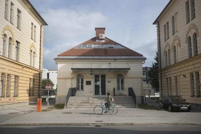 Ministrstvo za kulturo je Ruplov odstop danes sprejelo, Asta Vrečko je zavrnila, da bi šlo pri očitkih na njegov račun za politično obračunavanje. FOTO: Jure Eržen
