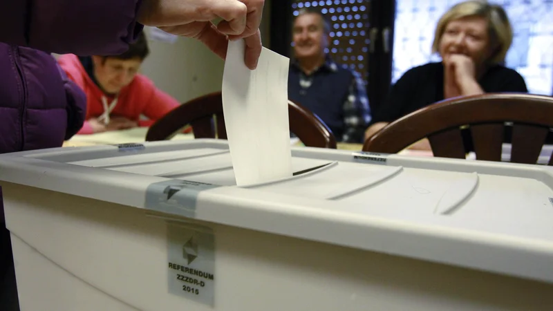 Fotografija: Referendumi bodo 27. novembra. FOTO: Leon Vidic/Delo
