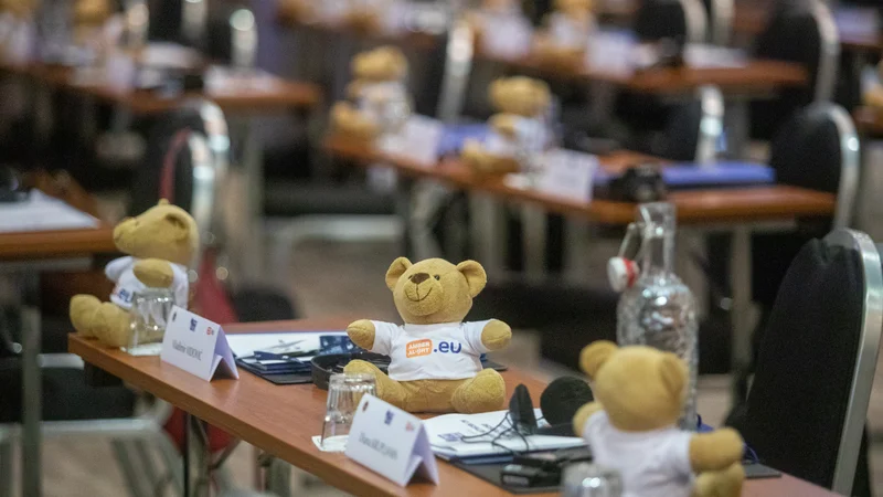 Fotografija: Na konferenci v Ljubljani strokovnjaki poleg aktualnih primerov obravnavajo tudi orodja in sodobne pristope pri iskanju pogrešanih oseb. FOTO: Voranc Vogel/Delo
