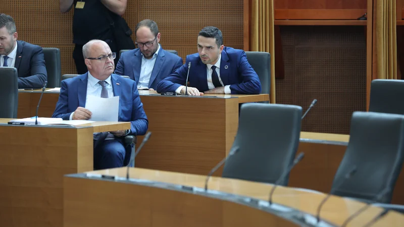 Fotografija: V SDS očitajo NSi, da trguje z Gibanjem Svobodo. FOTO: Črt Piksi/Delo