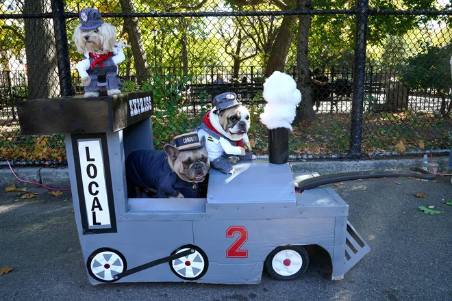 Na Tompkinsovem trgu v New Yorku je potekala že 32. pasja parada pred prihajajočo nočjo čarovnic. Foto: Timothy A. Clary/Afp
