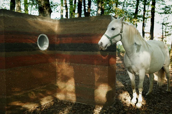 Kot pripravo na gradnjo iz zemlje so v letošnjih delavnicah izdelali osnovni konstrukcijski element, to je vogal. FOTO: Simon Chang
