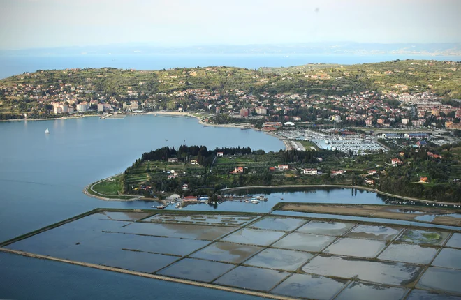Voda, razsoljena v solinah, je lahko bolj čista kot na katerem koli izviru, iz katerega se sedaj pridobiva voda za Obalo. FOTO JURE ERŽEN/DELO