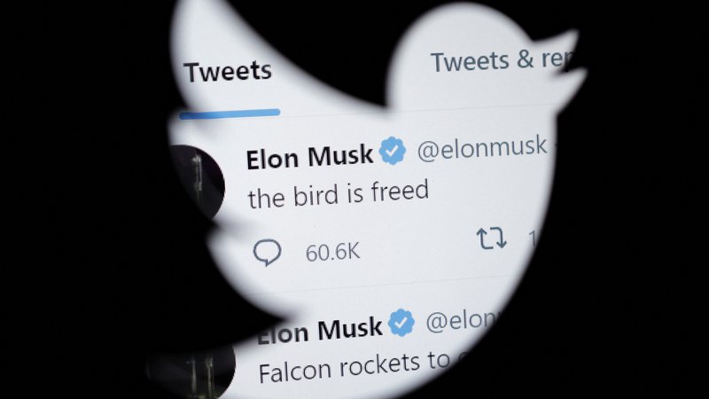 Fotografija: Elon Musk meni, da je njegov prevzem twitterja prispevek k povečanju svbode govora na svetu. Kako svobodna bo njegova ptica zares, bomo najbolje videli, ko se bodo na družbenem omrežju kresala mnenja o njegovem lastniku. Foto Dado Ruvic Reuters
