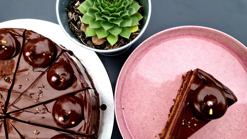 Fotografija: Poletov recept: Čokoladna torta LCHF. FOTO: Tanja Drinovec