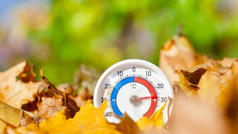 Fotografija: Letos so najbolj bodli v oči kratki rokavi, prava poletna vročina, celo podaljšek kopalne sezone. FOTO: Dmitry Naumov/Shutterstock