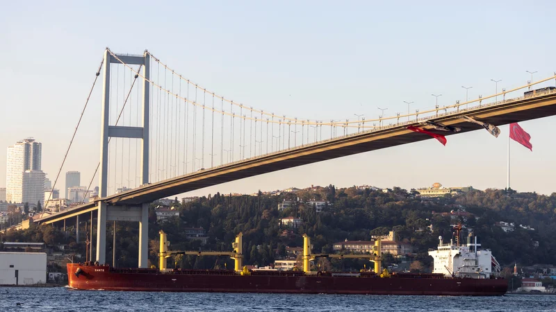 Fotografija: Tovorno plovilo Zante, ki prevaža ukrajinsko žito, med plutjem skozi Bospor. FOTO: Umit Bektas/Reuters