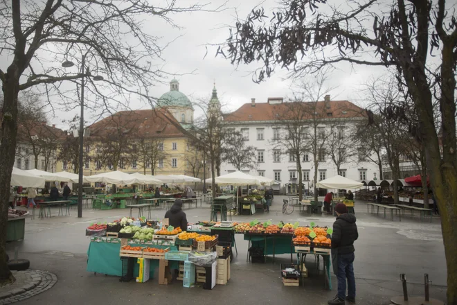 Spoštovani gospod župan. Predlagava, da projekt garaže opustite in ga po vzoru švedskega Srednjeveškega muzeja (Medeltidsmuseum) nadomestite z ljubljanskim srednjeveškim muzejem, tržnico pa posodobite brez nepotrebnih garaž. FOTO JURE ERŽEN/DELO
