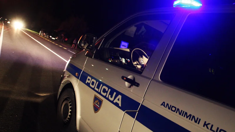 Dva bosta ostala brez vozniškega dovoljenja. FOTO: Tadej Regent
