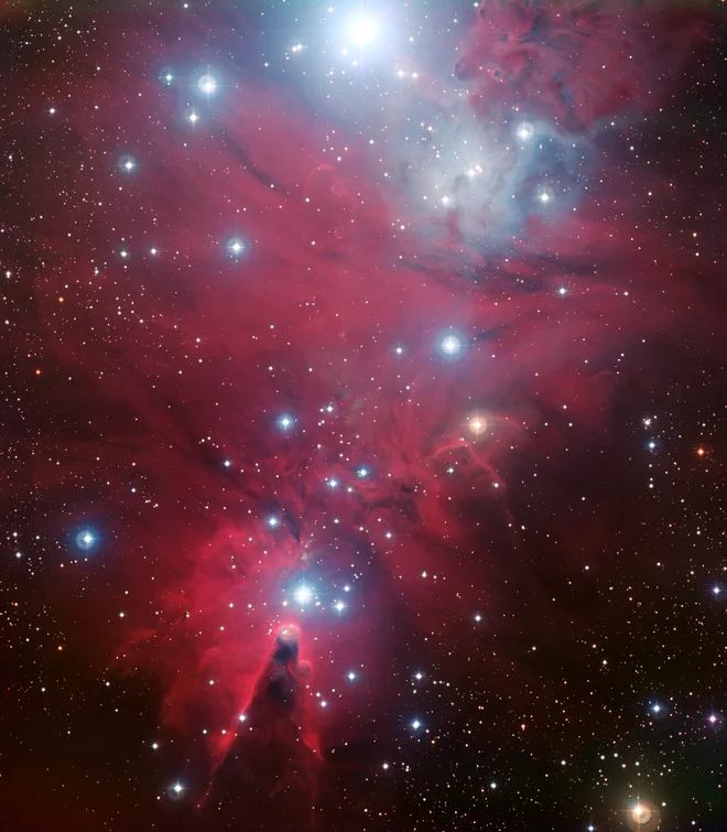 NGC 2264: meglica Stožec je na dnu posnetka, od nje se navzgor širi na glavo obrnjeno Božično drevo. Območje na fotografiji je v vesolju široko 30 svetlobnih let. FOTO: ESO 
