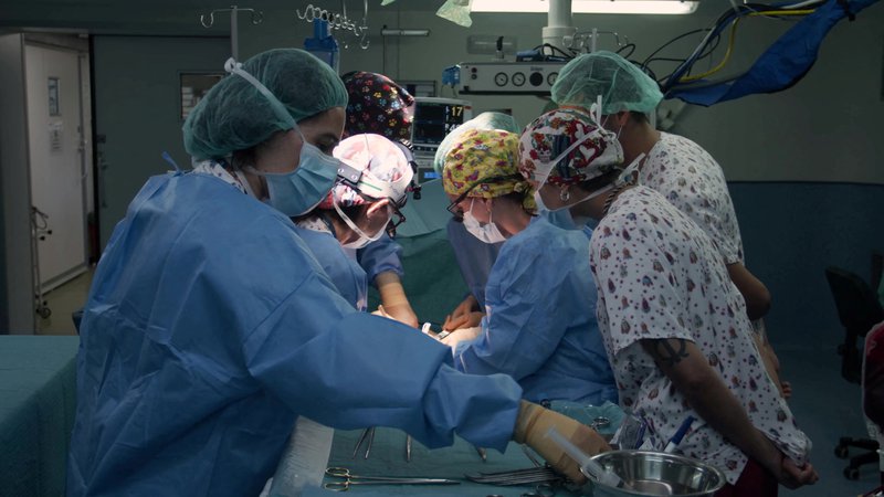 Fotografija: Poseg označujejo za vrh večletnega kliničnega angažmaja na področju transplantacij organov starejših donatorjev (fotografija je simbolična). FOTO: Reuters
