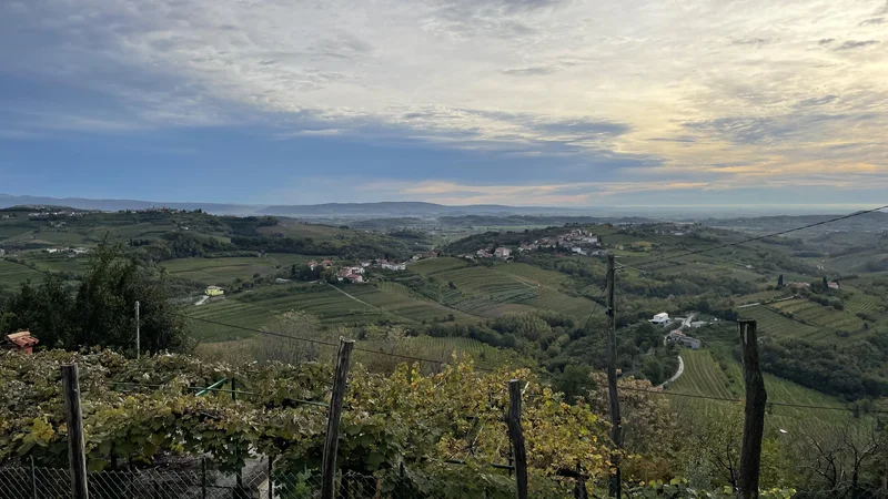 Fotografija: V jesenskem zavetju vinorodnih briških gričev. FOTO: R. T.
