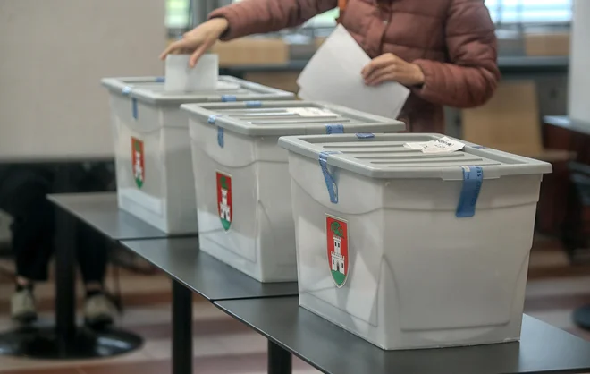 Lokalne volitve v Ljubljani FOTO: Blaž&nbsp;Samec

