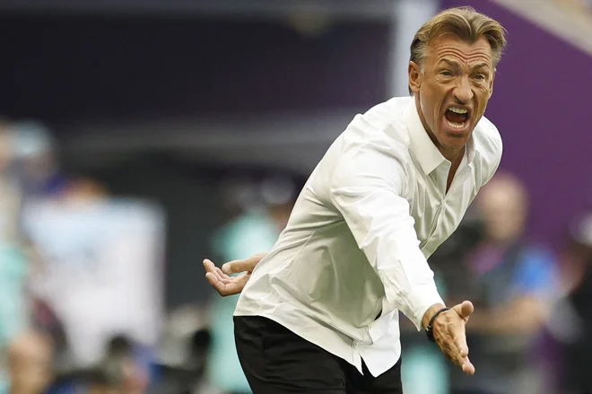 Francoz Herve Renard je spravil v delirij navijače Savdske Arabije. FOTO: Khaled Desouki/AFP
