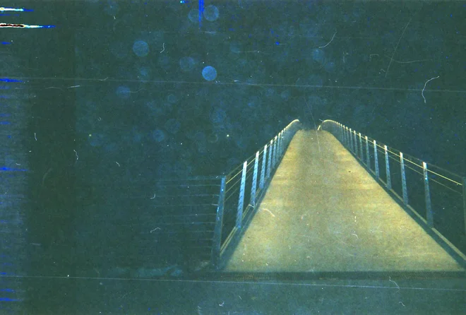 Brv, ki vodi v mestni park. FOTO: Primož Brvar
