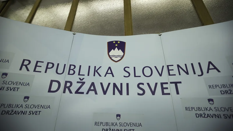 Fotografija: Državni svet. FOTO: Jože Suhadolnik/Delo
