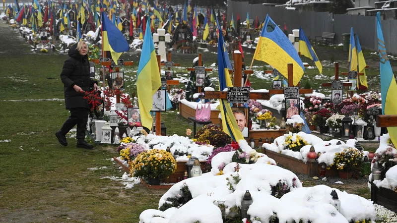 Fotografija: Ta teden je minilo devet mesecev od začetka ruske agresije na Ukrajino. Na fotografiji pokopališče v Lvovu Foto Yuriy Dyachyshyn/AFP