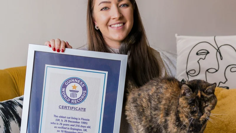 Fotografija: »Že takoj sem vedela, da je Flossie posebna mačka, vendar si nisem predstavljala, da bom svoj dom delila s svetovno rekorderko,« je za britanski BBC povedala njena lastnica Vicki Green. FOTO Cats Protection /Guiness World Record