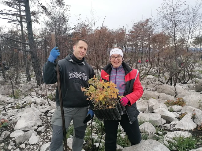 Nina in Egon iz Štorij, domačina, ki jima je mar za kraški gozd. FOTO: Nataša Čepar/Delo
