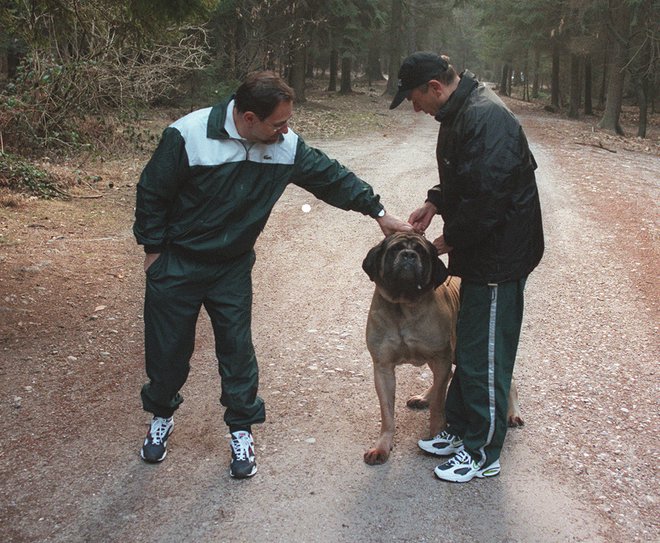 Generalni sekretar NATA Javier Solana in slovenski premier dr. Janez Drnovšek na jutranjem joggingu s psom Arturjem. FOTO: Joco Žnidaršič
