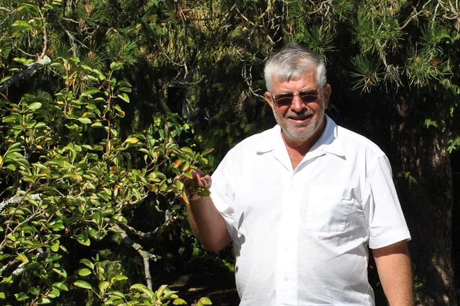 &raquo;Izkušnje učijo, kako pomembno je upoštevanje kompleksnosti našega sobivanja in relativne vloge posameznika v njem,&laquo; pravi Janko Arah. FOTO: Tomaž Gerdina
