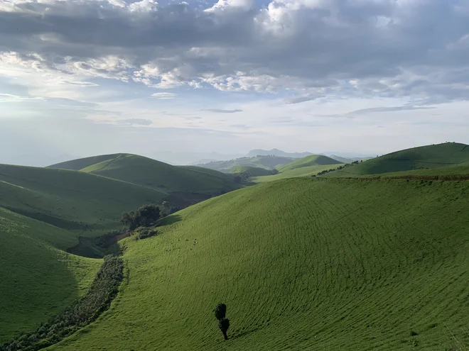 Masisi v Kongu s svojo čudovito naravo FOTO: Miha Logar
