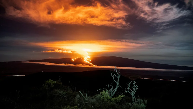 Fotografija: Na Havajih je po skoraj 40 letih mirovanja izbruhnil najvišji ognjenik na svetu, Mauna Loa (vrh je na 4100 metrih nadmorske višine). Izbruh je bil omejen zgolj na krater Moku'aweoweo, kar pomeni, da za zdaj za bližnje kraje ni nobene nevarnosti. Mauna Loa se nahaja na največjem otoku Veliki otok (Big Island) te ameriške zvezne države. Foto: Go Nakamura/Reuters