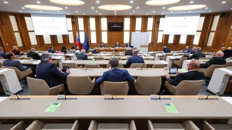 Novela zakona o dohodnini, ki jo je zavrnil državni svet, med drugim ukinja indeksacijo dohodninske lestvice in olajšav. FOTO: Nebojša Tejić/STA