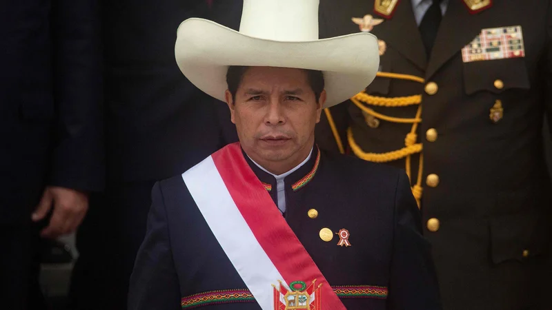 Fotografija: V televizijskem nagovoru narodu je 53-letni Castillo danes dejal, da se te »nevzdržne razmere ne morejo nadaljevati«. FOTO: Janine Costa/AFP
