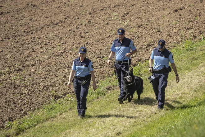 Statistični podatki kažejo na neupravičenost avstrijskega nadzora na skupni meji. FOTO: Voranc Vogel/Delo
