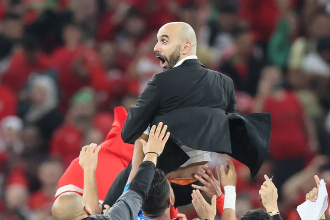 Maroškega selektorja Walida Regraguija na svetovnem prenstvu v Katarju v polfinalu čaka še najtežja naloga doslej, dvoboj z branilci naslova Francozi. FOTO: Karim Jaafar/AFP
