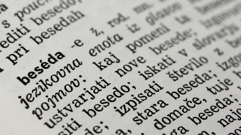 Fotografija: Besede ne morejo preoblikovati realnosti, lahko pa vplivajo na naše subjektivno razumevanje resničnosti. Foto Leon Vidic